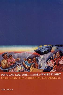 Popular Culture in the Age of White Flight pdf epub mobi 电子书 下载