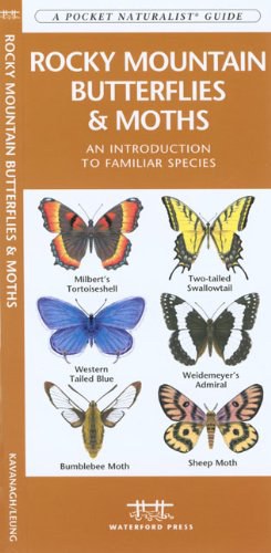 Rocky Mountain Butterflies & Moths pdf epub mobi 电子书 下载
