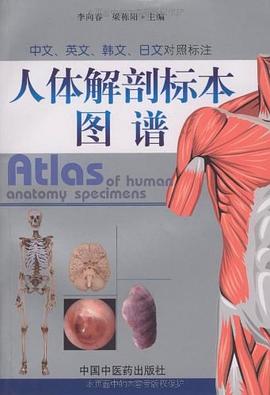 人体解剖标本图谱 pdf epub mobi 电子书 下载