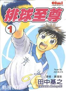 排球至尊 pdf epub mobi 电子书 下载