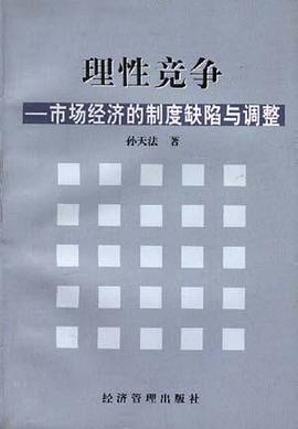 理性竞争--市场经济的制度缺陷与调整 pdf epub mobi 下载
