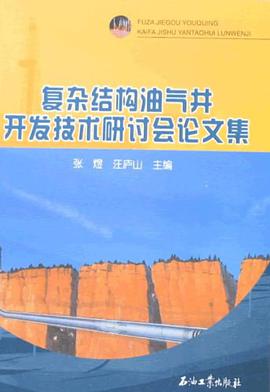 复杂结构油气井开发技术研讨会论文集 pdf epub mobi 电子书 下载