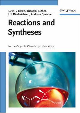 Reactions and Syntheses pdf epub mobi 电子书 下载