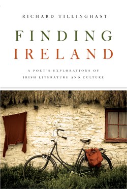 finding ireland pdf epub mobi 下载