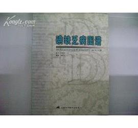 碘缺乏病图谱 pdf epub mobi 电子书 下载