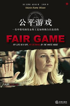 公平游戏 pdf epub mobi 电子书 下载