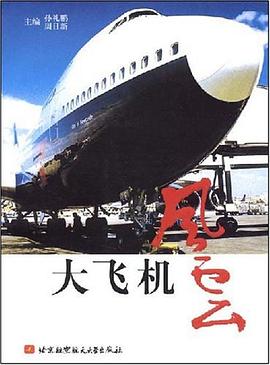 大飞机风云 pdf epub mobi 电子书 下载