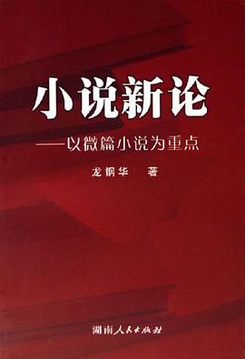 小说新论 pdf epub mobi 电子书 下载