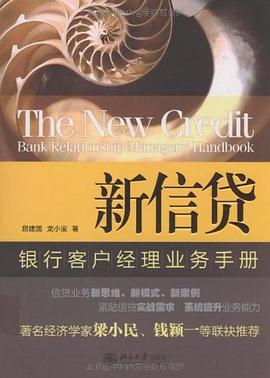 新信贷 pdf epub mobi 电子书 下载
