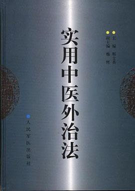 实用中医外治法 pdf epub mobi 电子书 下载