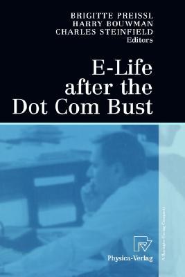 E-Life After the Dot Com Bust pdf epub mobi 电子书 下载