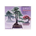 温州盆景 pdf epub mobi 电子书 下载