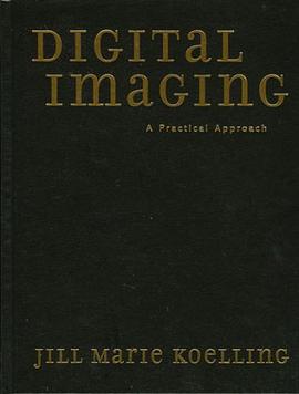 Digital Imaging pdf epub mobi 电子书 下载