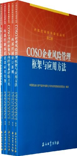 内部控制体系建设丛书（全5册） pdf epub mobi 电子书 下载