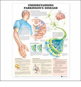 Understanding Parkinson's Disease pdf epub mobi 电子书 下载