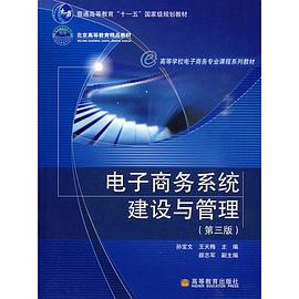 电子商务系统建设与管理 pdf epub mobi 下载
