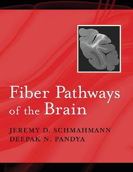 Fiber Pathways of the Brain pdf epub mobi 电子书 下载