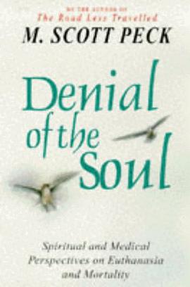 Denial of the Soul pdf epub mobi 電子書 下載