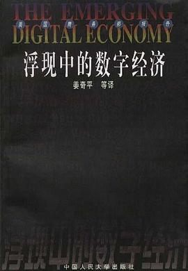 浮現中的數字經濟 pdf epub mobi 電子書 下載