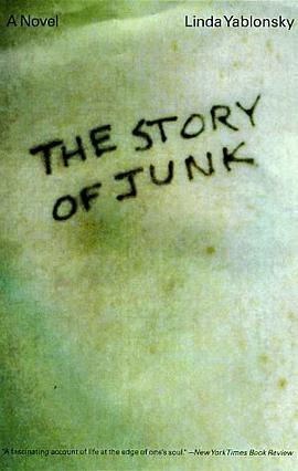 The Story of Junk pdf epub mobi 电子书 下载