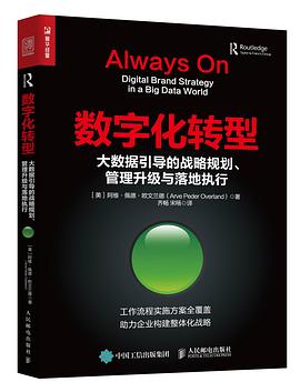數字化轉型：大數據引導的戰略規劃、管理升級與落地執行 pdf epub mobi 電子書 下載
