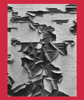 中图AARON SISKIND 100 pdf epub mobi 电子书 下载