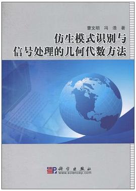 仿生模式识别与信号处理的几何代数方法 pdf epub mobi 电子书 下载