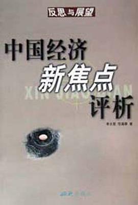 中国经济新焦点评析 pdf epub mobi 电子书 下载
