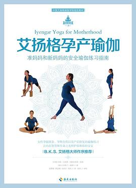 艾扬格孕产瑜伽 pdf epub mobi 电子书 下载