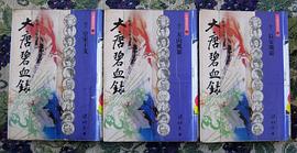 大唐碧血錄 pdf epub mobi 电子书 下载