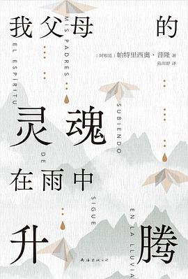 我父母的灵魂在雨中升腾 pdf epub mobi 电子书 下载