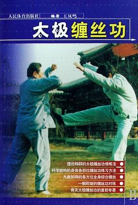 太极缠丝功 pdf epub mobi 电子书 下载