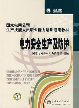电力安全生产及防护 pdf epub mobi 下载