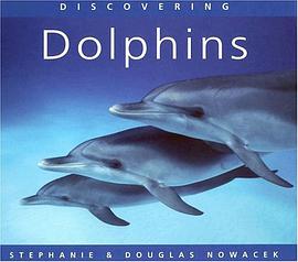 Discovering Dolphins