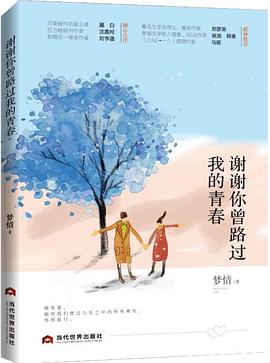 谢谢你曾路过我的青春 pdf epub mobi 电子书 下载