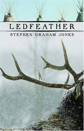 Ledfeather pdf epub mobi 电子书 下载