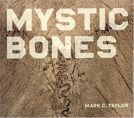 Mystic Bones pdf epub mobi 下载