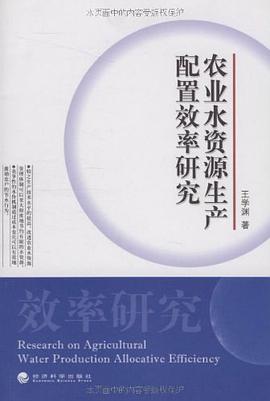 农业水资源生产配置效率研究