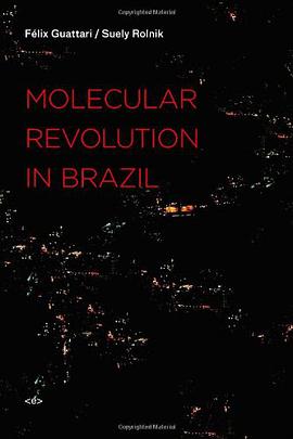 Molecular Revolution in Brazil pdf epub mobi 電子書 下載