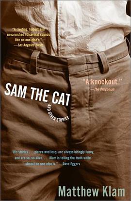 Sam the Cat pdf epub mobi 下载