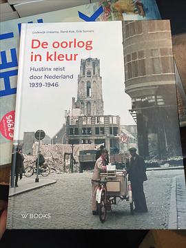 De oorlog in kleur pdf epub mobi 电子书 下载