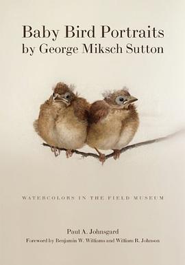 Baby Bird Portraits by George Miksch Sutton pdf epub mobi 电子书 下载