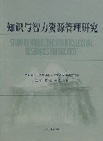 知识与智力资源管理研究 pdf epub mobi 电子书 下载