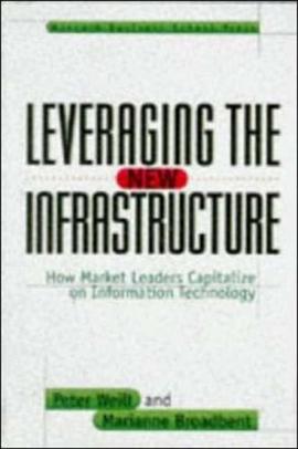 Leveraging the New Infrastructure pdf epub mobi 電子書 下載