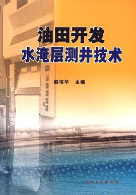 油田开发水淹层测井技术 pdf epub mobi 电子书 下载