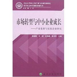 市场转型与中小企业成长 pdf epub mobi 下载