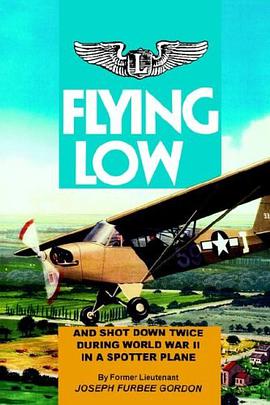 Flying Low pdf epub mobi 下载