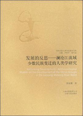 发展的反思 pdf epub mobi 电子书 下载