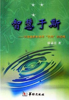 智慧于斯 pdf epub mobi 电子书 下载