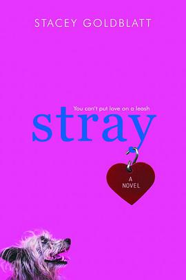 Stray pdf epub mobi 电子书 下载